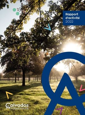Rapport D'activite 2022