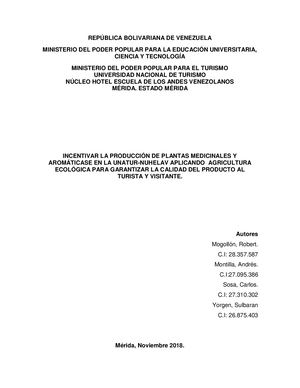 Proyecto Pnft 47 Socio Integrador