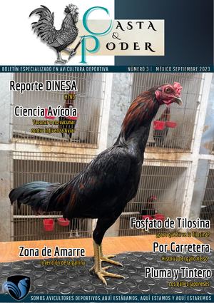 Casta y Poder No 3