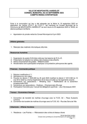 Compte Rendu Synthétique Du 25 09 203