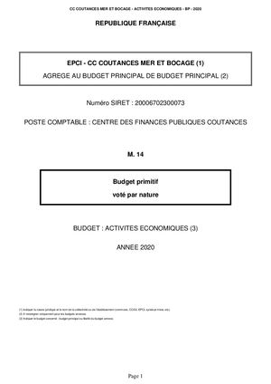 BUDGET PRIMITIF 2020 - ACTIVITÉS ÉCONOMIQUES