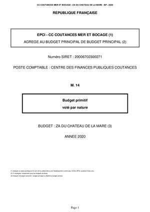 BUDGET PRIMITIF 2020 -  ZONE CHATEAU DE LA MARE