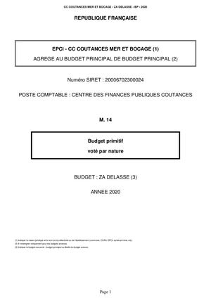 BUDGET PRIMITIF 2020 -  ZA DELASSE