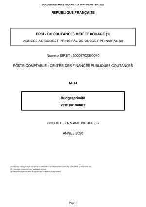 BUDGET PRIMITIF 2020 -  ZA SAINT PIERRE