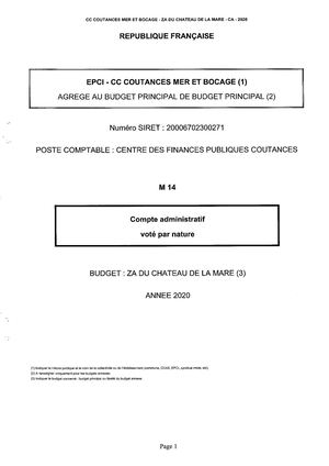 COMPTES ADMINISTRATIFS 2020 - ZONE CHATEAU DE LA MARE