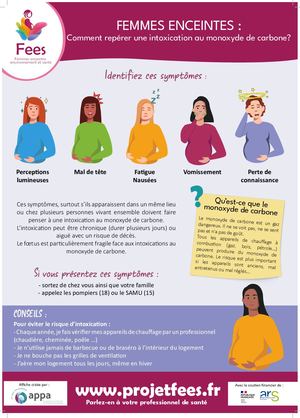 Monoxyde de carbone - Affiche femmes enceintes