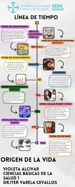 Infografia Línea Del Tiempo Historia Timeline Doodle Multicolor