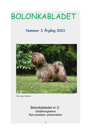 Bolonkabladet Nr 3 2023 231014