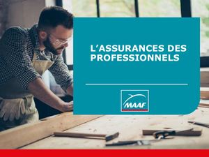 Webinaire Assurances des Micro entreprises