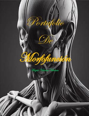 Portafolio de Morfofuncion