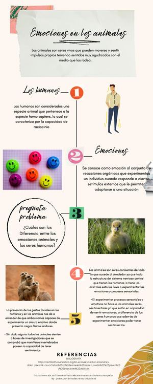 Emociones En Los Animales