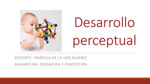 8 Desarrollo Perceptual