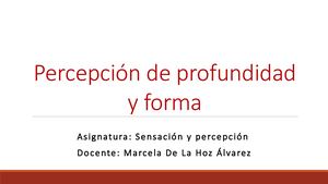 10 Percepcion De La Profundidad