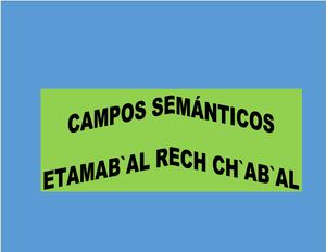 Campos Semánticos