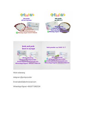 Cas 5449-12-7 bmk powder in germany stock