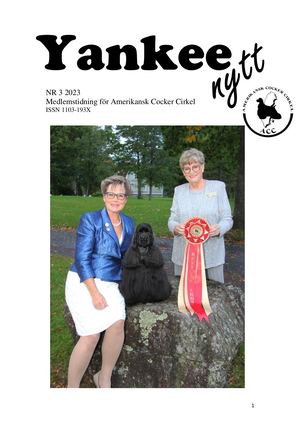 Yankee Nytt 3 2023