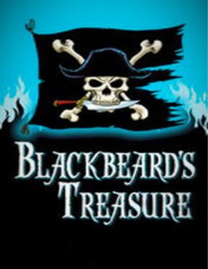 Blackbeards Treasure Jenny Dooley