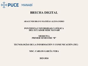 La Brecha Digital (Tic)