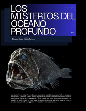 Los Misterios Del Oceano Profundo