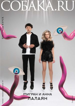 Собака БК Осень 2023