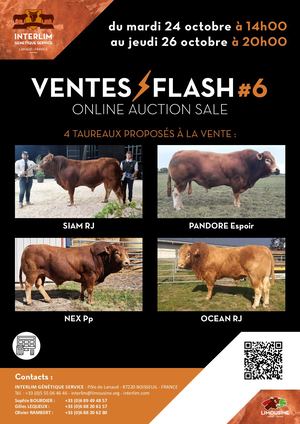 Catalogue Vente Flash #6