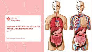 Anatomía y fisiología de los aparatos y sistemas del cuerpo humano.