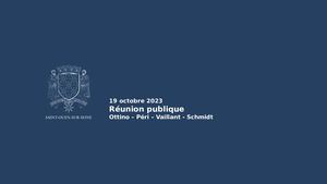 Reunion Publique Ottino
