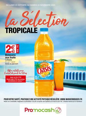 Catalogue Promocash Du 23 Octobre Au 04 Novembre 2023