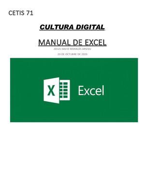 Cultura Digital Manual De Excel De Jesus David Morales Arvizu