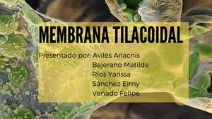Membrana Tilacoidal 20231020 194738 0000