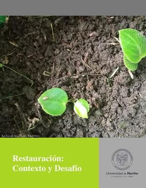 Ensayo Visual Natali Silva