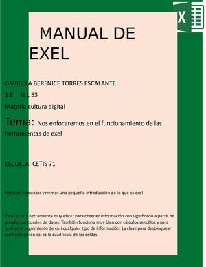 Manual De Exel