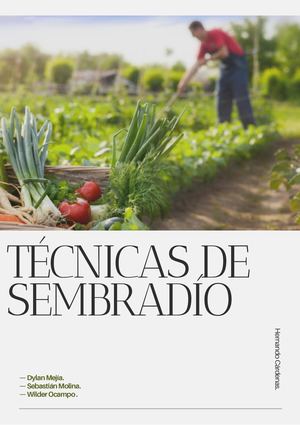 Técnicas De Sembradío
