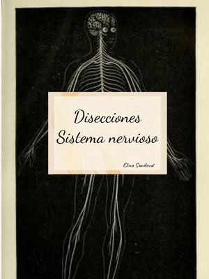 Disección Sistema Nervioso