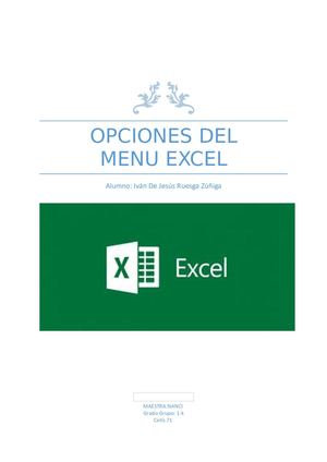 Manual De Ecxel Ruezga Zuñiga