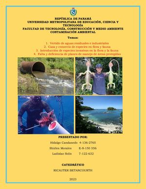 Trabajo De Mural Digital