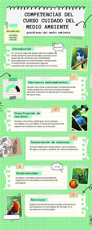 Infografía De Proceso Recortes De Papel Notas Verde