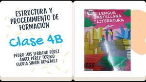 Estructura Y Procedimiento De Formación