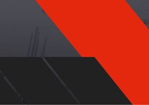 Презентация МСС