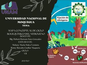 Mapa Conceptual De Ciclos Biogeoquimicos