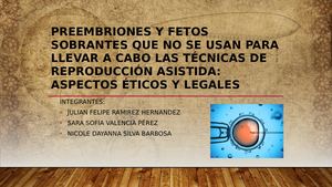 Preembriones Y Fetos Sobrantes Que No Se Usan En La Reproduccion Asistida