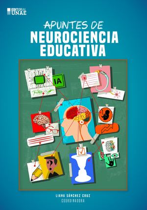 Apuntes neurociencia educativa