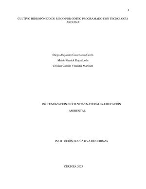 Propuesta proyecto de grado 2024