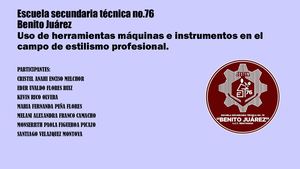 Estilista Profesional 2 A