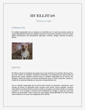 Huellitas