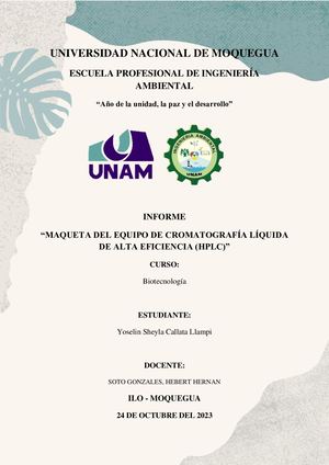Informe De Maqueta