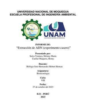 Extracción De Adn (Experimento Casero) Platano Y Mandarina
