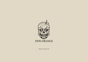Don Orange Brand Guideline designed by hunap studio