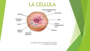 La Cellula