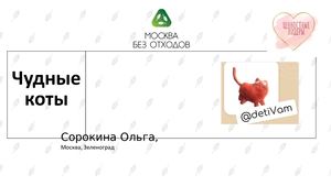 Презентация "Чудные коты". Лидер проекта - Сорокина Ольга
